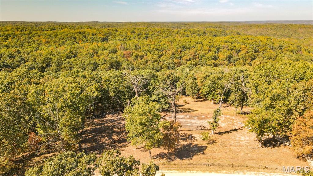 1785 Tranquil Woods Property Photo 12