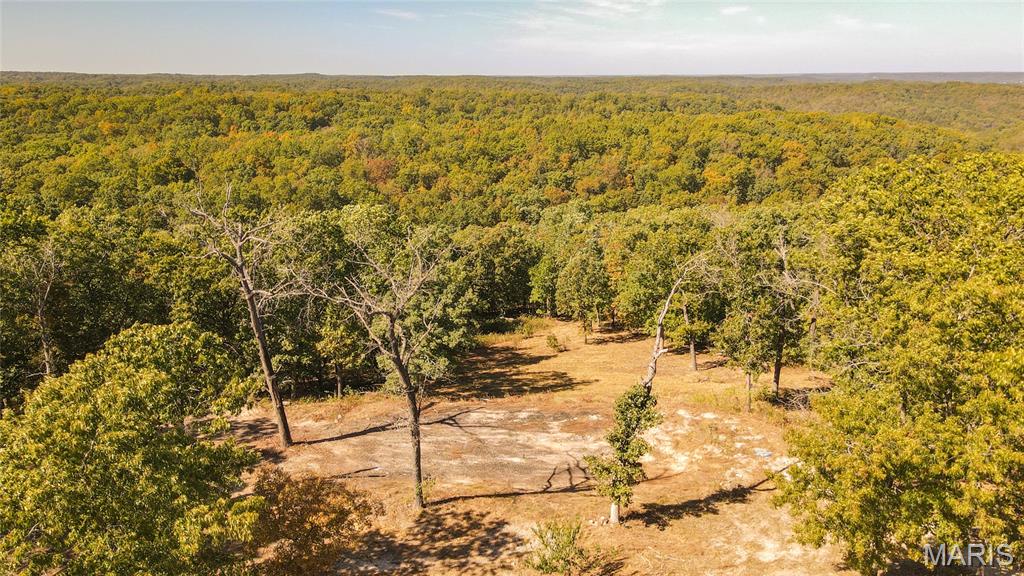 1785 Tranquil Woods Property Photo 13