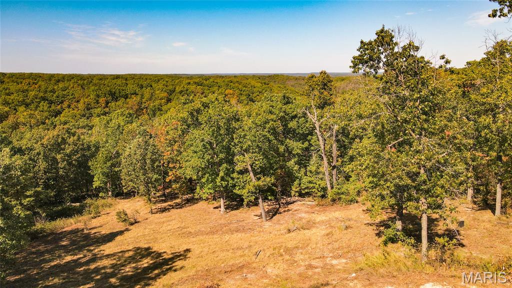 1785 Tranquil Woods Property Photo 15