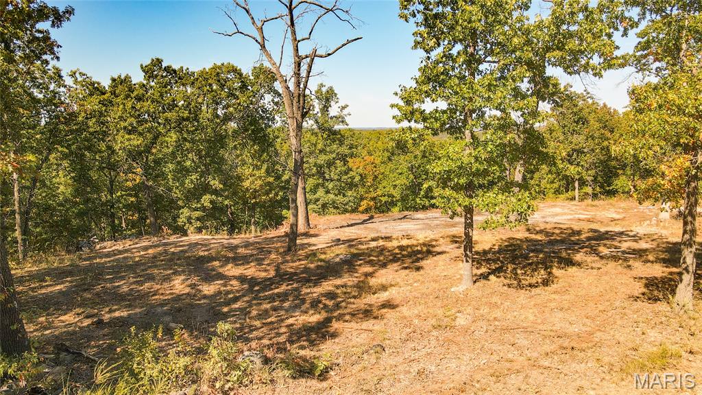 1785 Tranquil Woods Property Photo 16