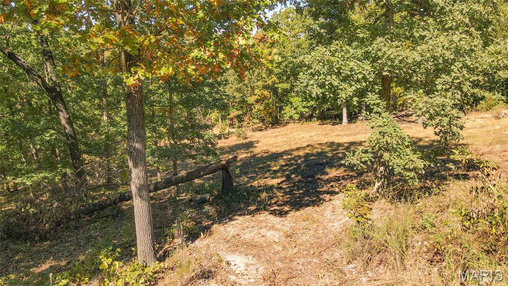 1785 Tranquil Woods Property Photo 17