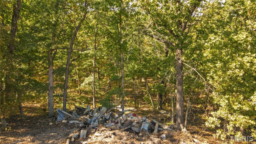 1785 Tranquil Woods Property Photo 18
