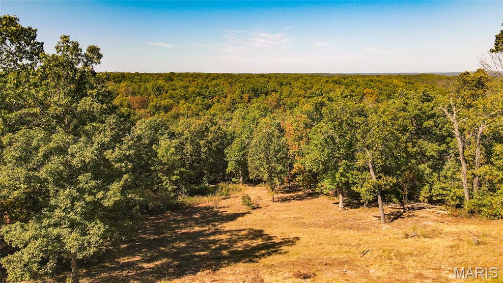 1785 Tranquil Woods Property Photo 24