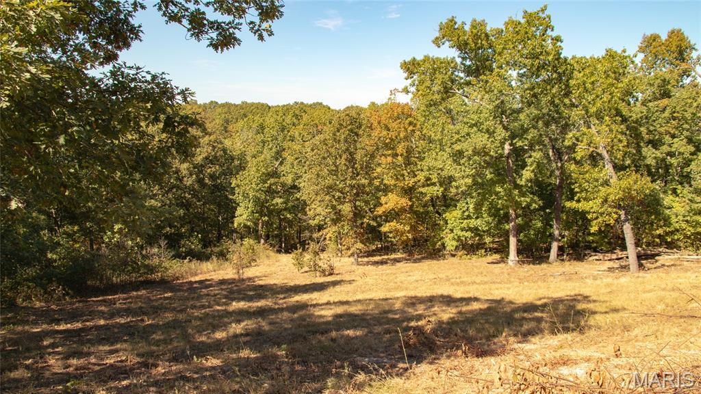 1785 Tranquil Woods Property Photo 25
