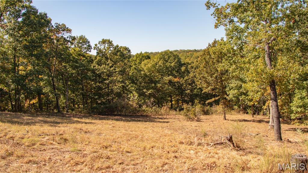 1785 Tranquil Woods Property Photo 26
