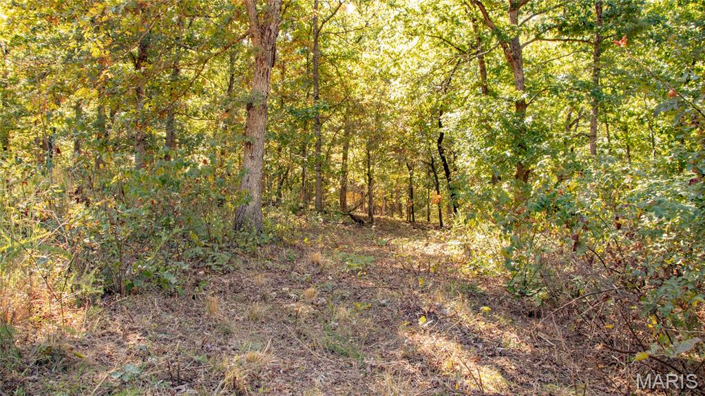 1785 Tranquil Woods Property Photo 27