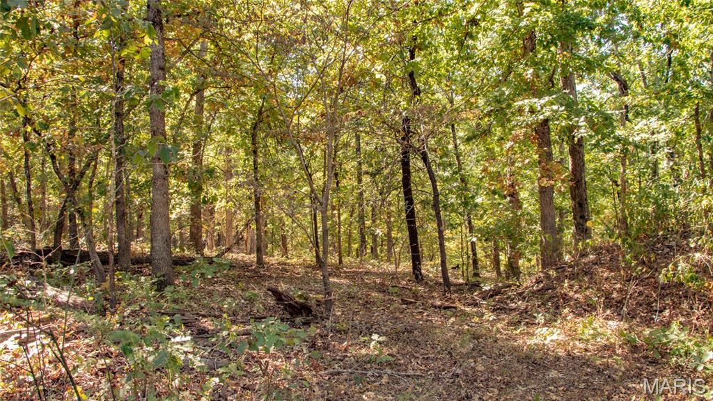 1785 Tranquil Woods Property Photo 28