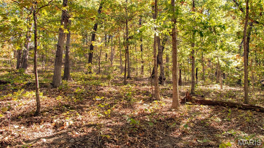 1785 Tranquil Woods Property Photo 29