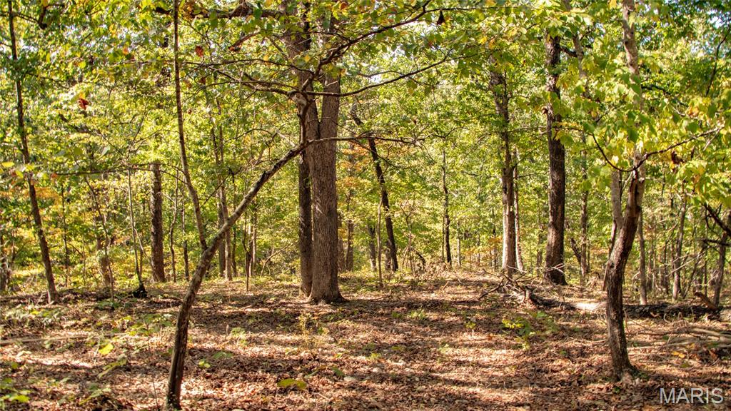 1785 Tranquil Woods Property Photo 30