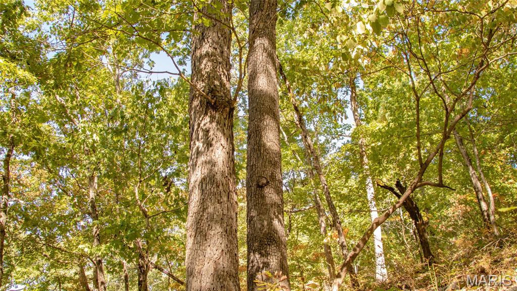1785 Tranquil Woods Property Photo 32