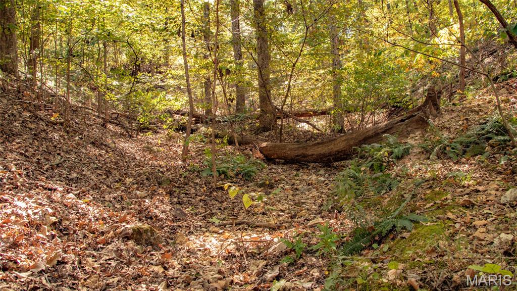 1785 Tranquil Woods Property Photo 33