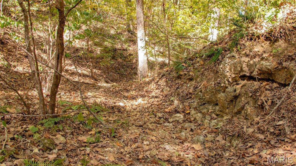 1785 Tranquil Woods Property Photo 34