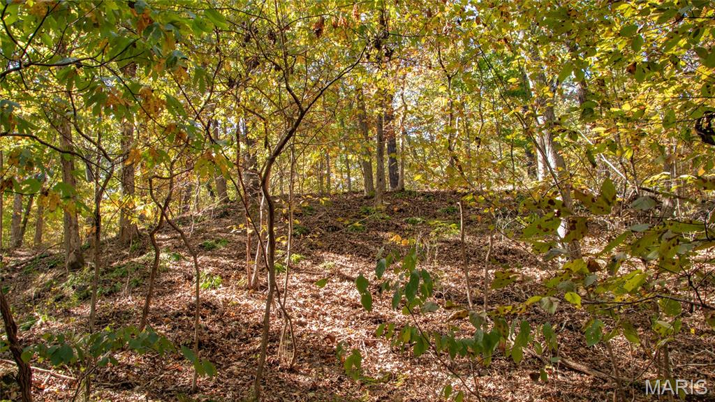 1785 Tranquil Woods Property Photo 35