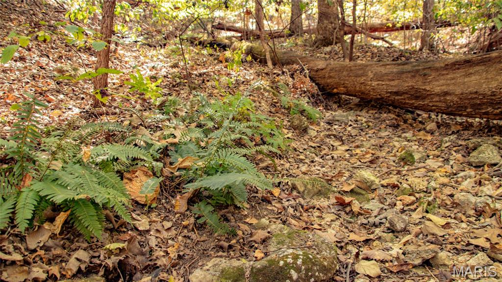 1785 Tranquil Woods Property Photo 36
