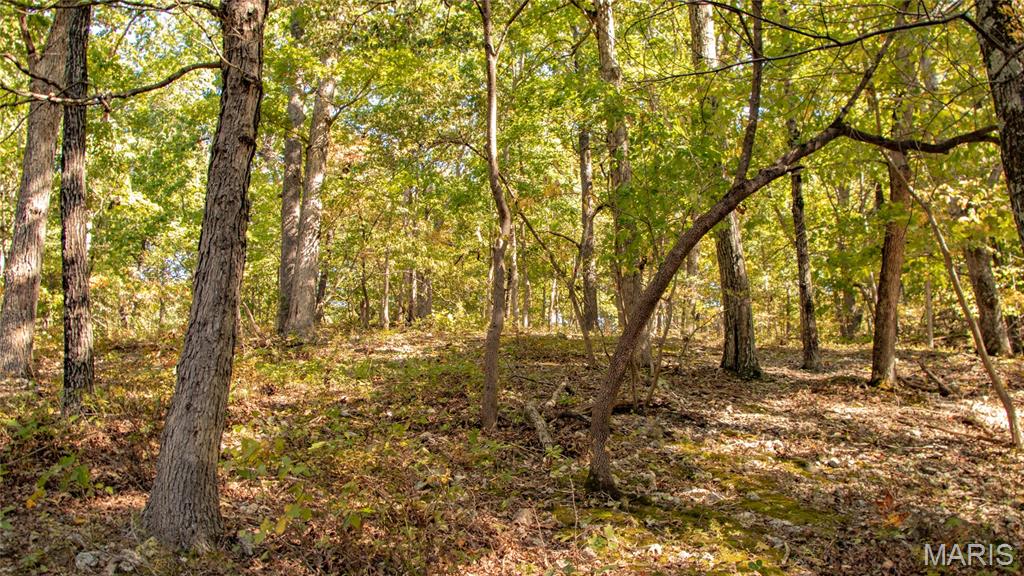 1785 Tranquil Woods Property Photo 38