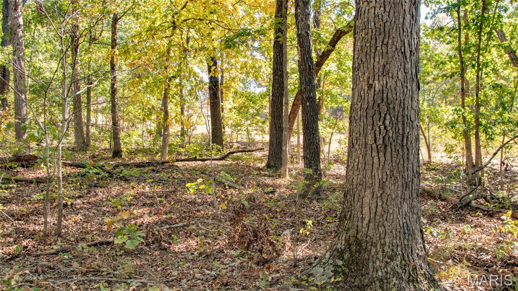 1785 Tranquil Woods Property Photo 40