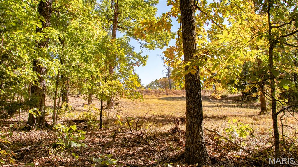 1785 Tranquil Woods Property Photo 41