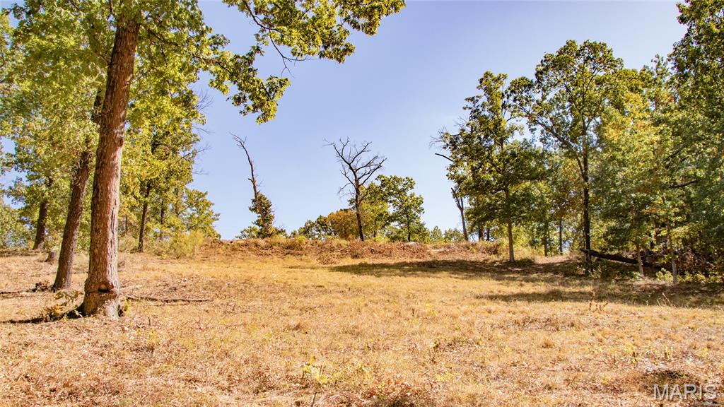 1785 Tranquil Woods Property Photo 42