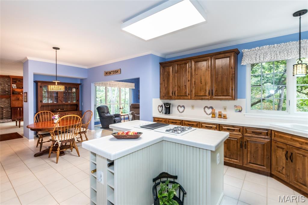 4095 Princeton Ridge Drive Property Photo 14