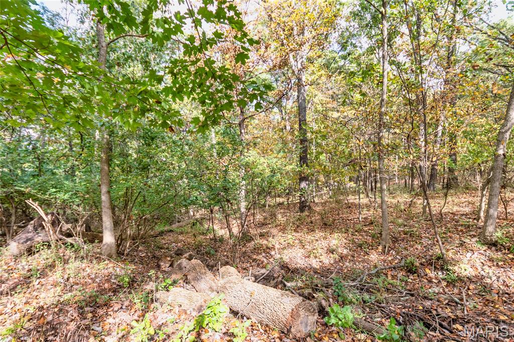 4095 Princeton Ridge Drive Property Photo 48