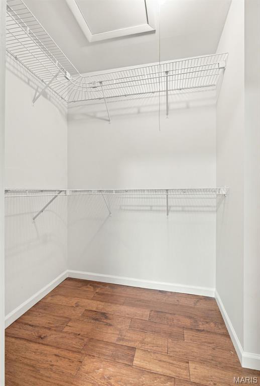 12226 Autumn Dale Court Property Photo 36