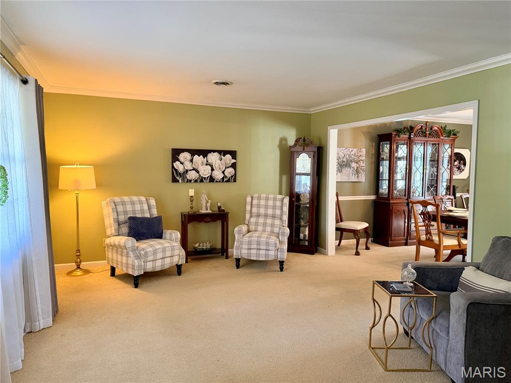 1002 Turkey Run Property Photo 6