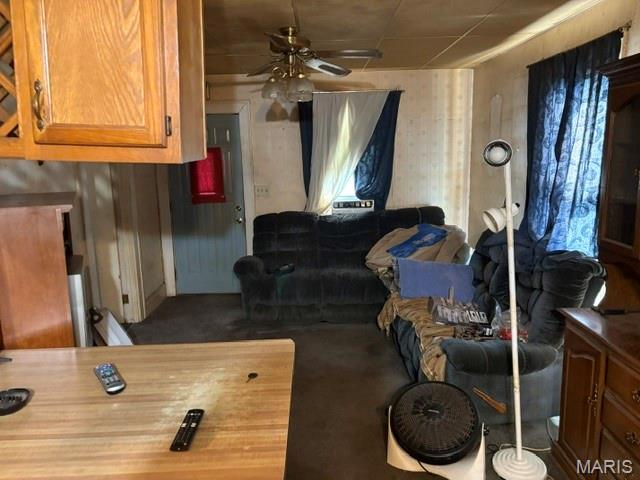 117 N Pence Street Property Photo 6