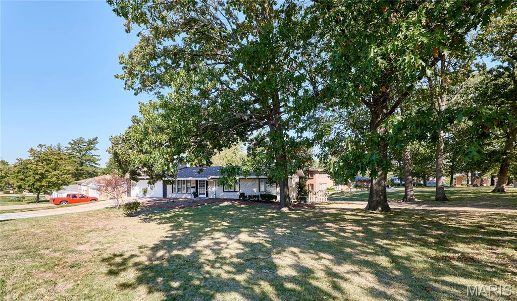 7707 Springdale Drive Property Photo 4