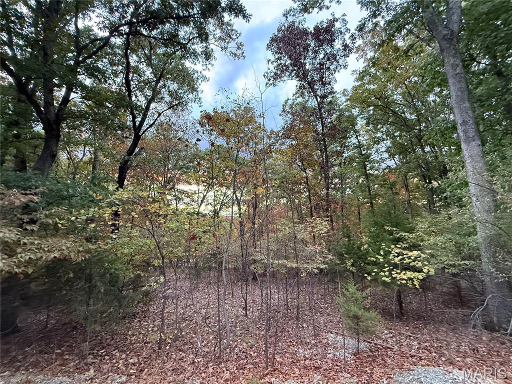 0 Apache Point Drive Property Photo 5