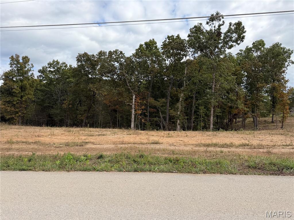 Lot 4 Top Drive Property Photo 2