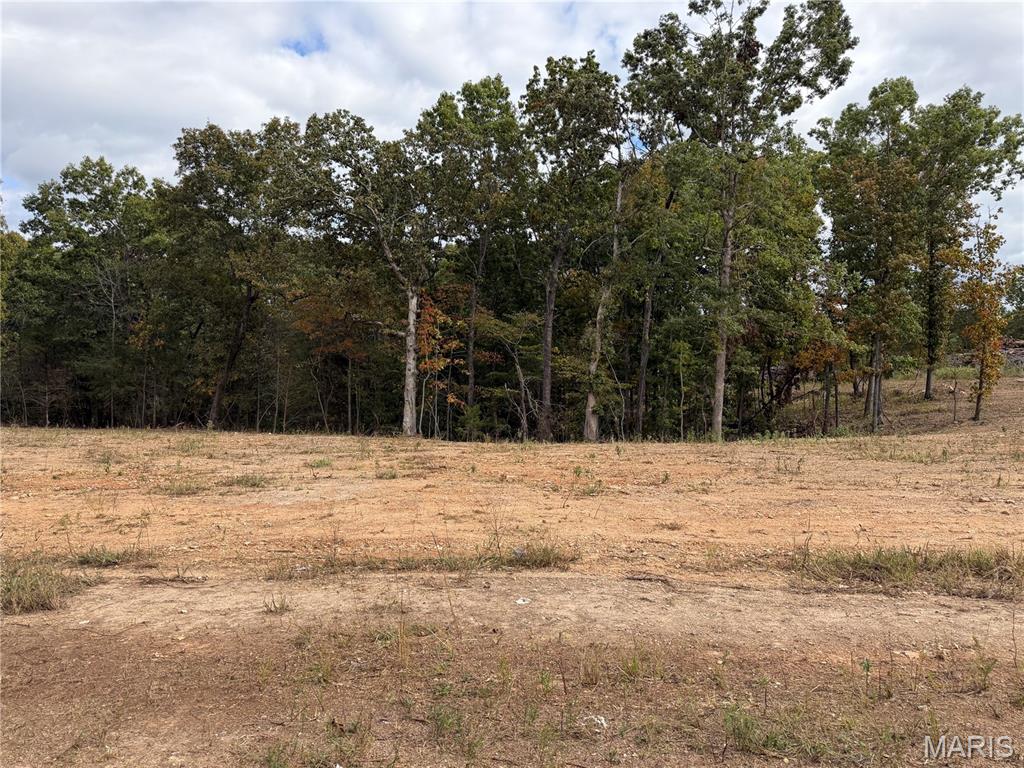 Lot 4 Top Drive Property Photo 3