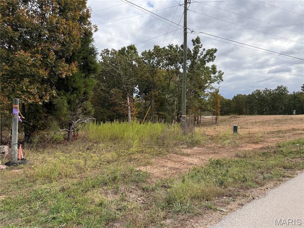 Lot 4 Top Drive Property Photo 4