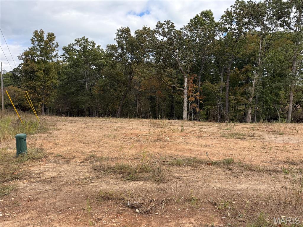 Lot 4 Top Drive Property Photo 5