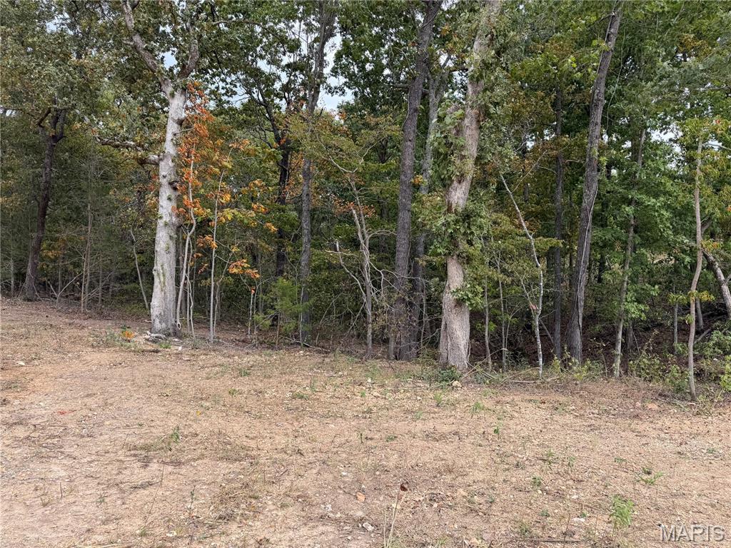 Lot 4 Top Drive Property Photo 7