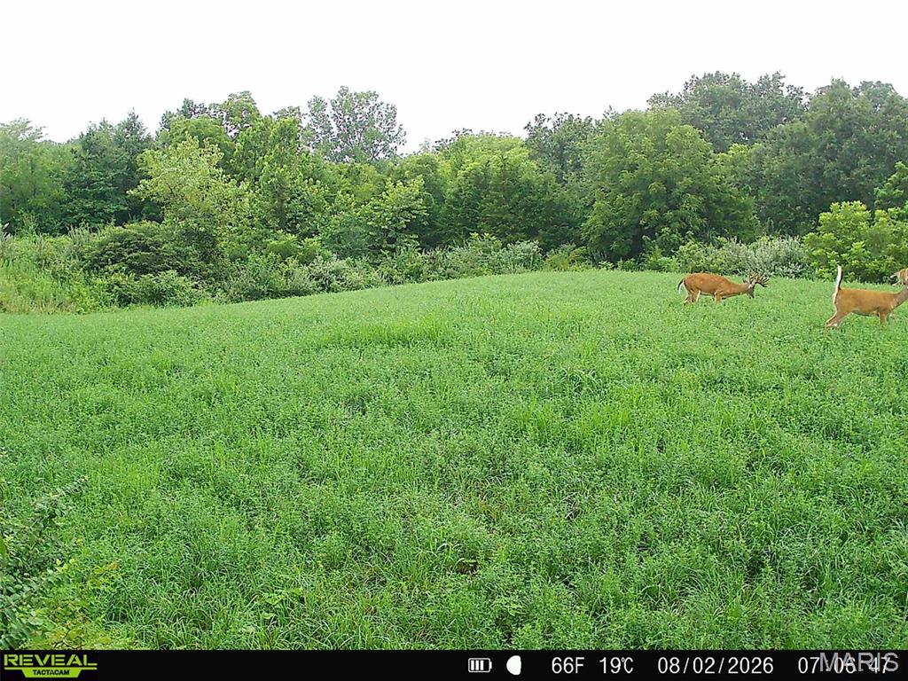 000 Victory Road Property Photo 36