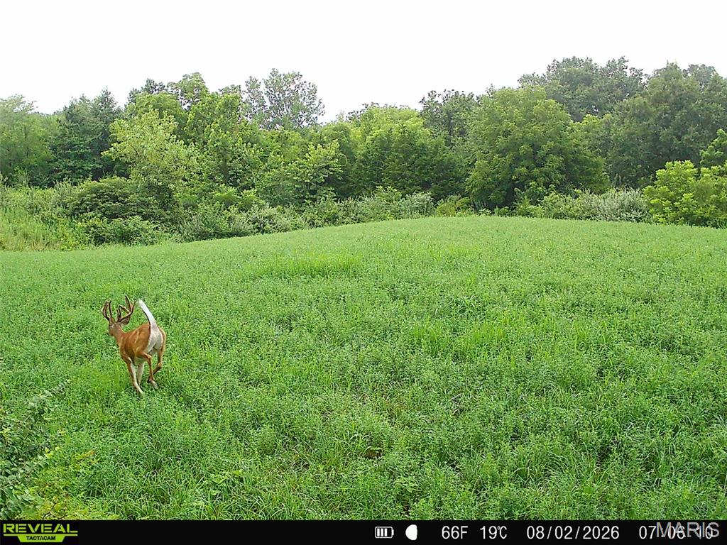 000 Victory Road Property Photo 37