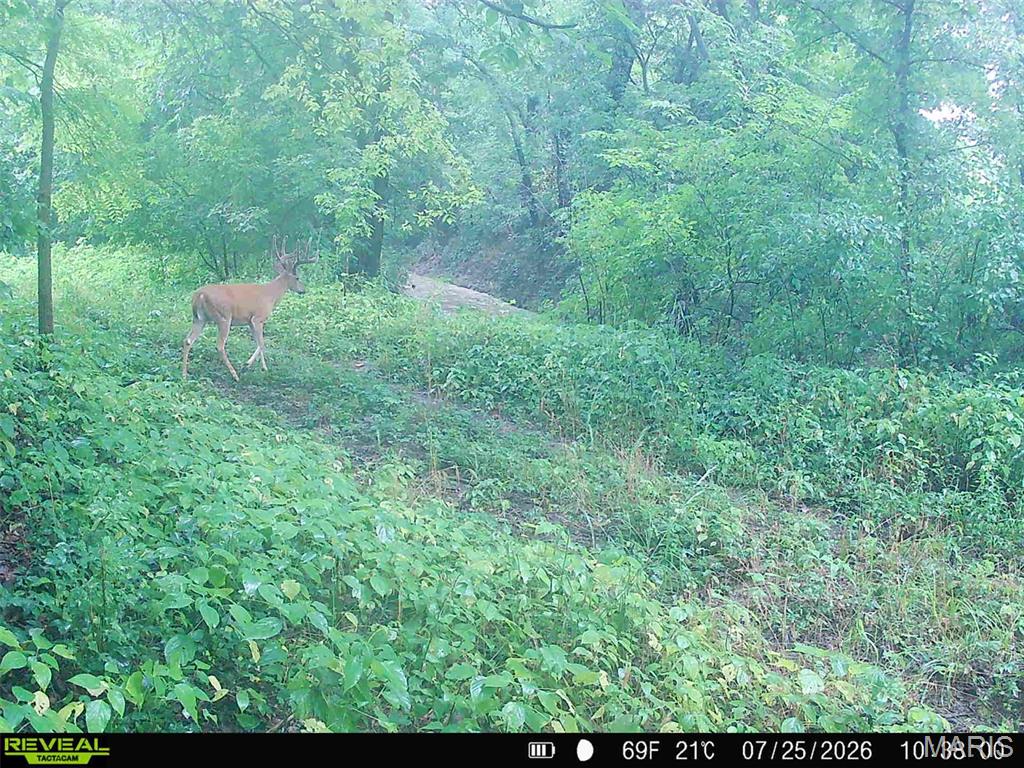 000 Victory Road Property Photo 39