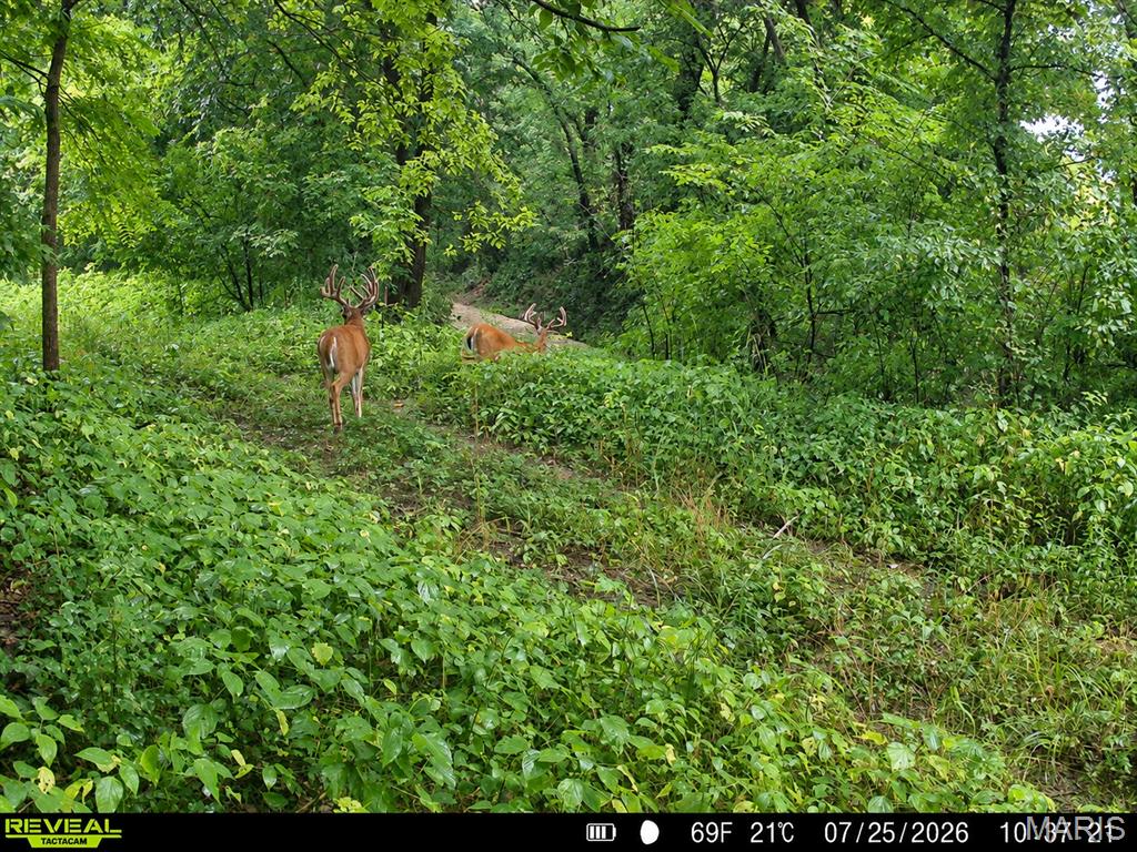 000 Victory Road Property Photo 40