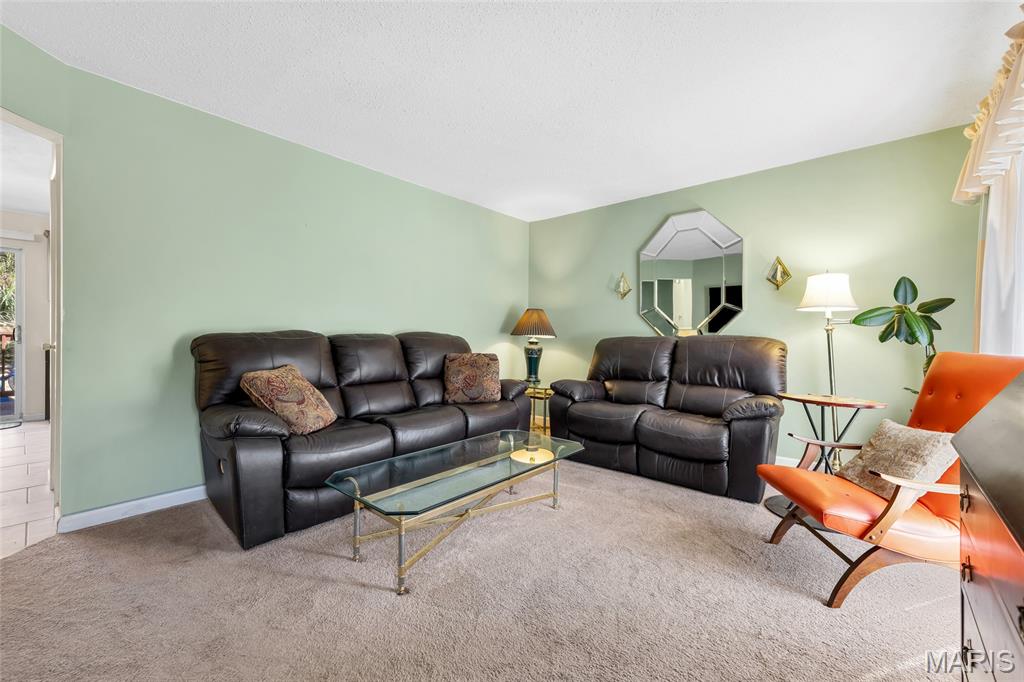 10905 Hampshire Manor Court Property Photo 5