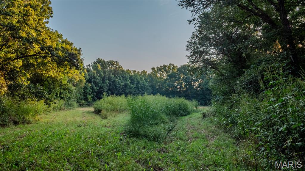 000 Victory Road Property Photo 15