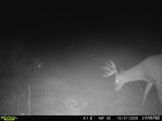 000 Victory Road Property Photo 24