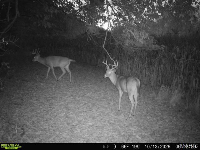 000 Victory Road Property Photo 27