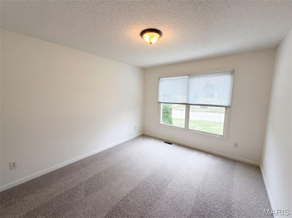 701 Garden Bounty Drive Property Photo 15