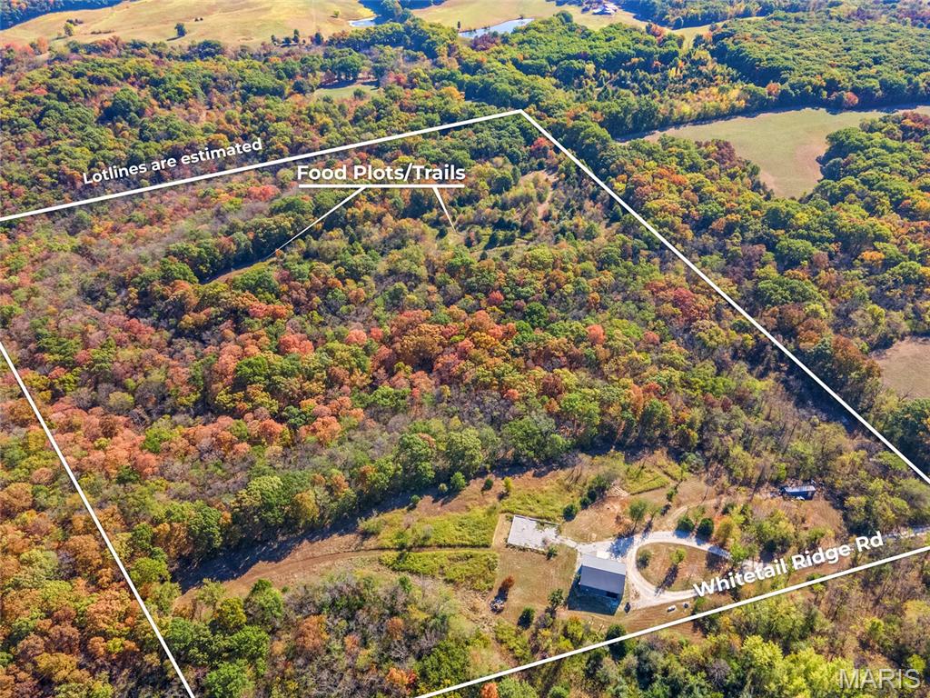2 Whitetail Ridge Road Property Photo 3