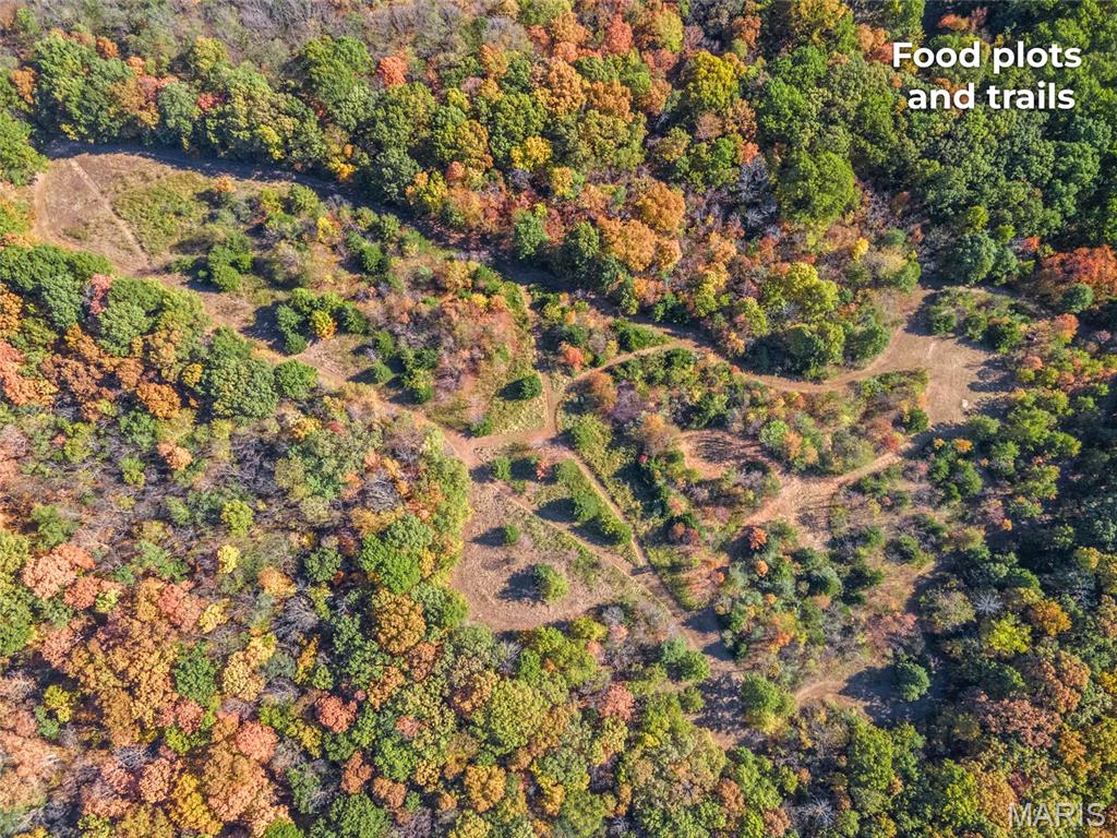 2 Whitetail Ridge Road Property Photo 26