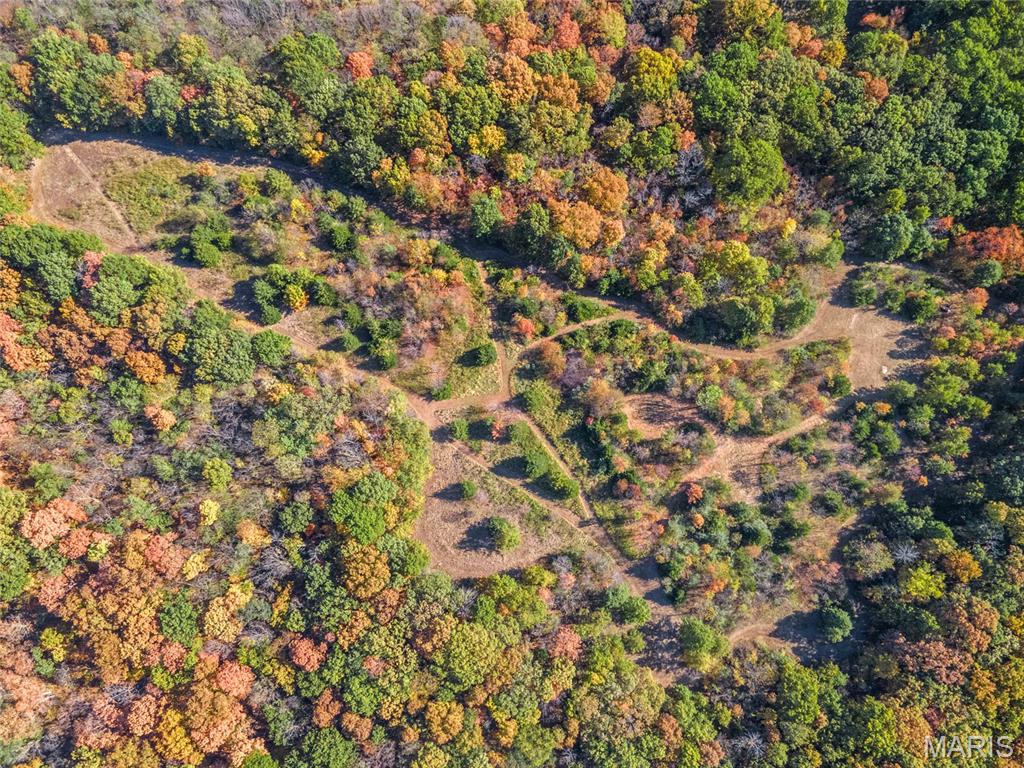 2 Whitetail Ridge Road Property Photo 27