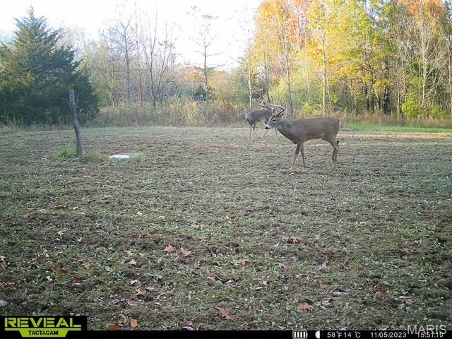 2 Whitetail Ridge Road Property Photo 28