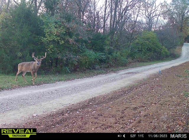 2 Whitetail Ridge Road Property Photo 29