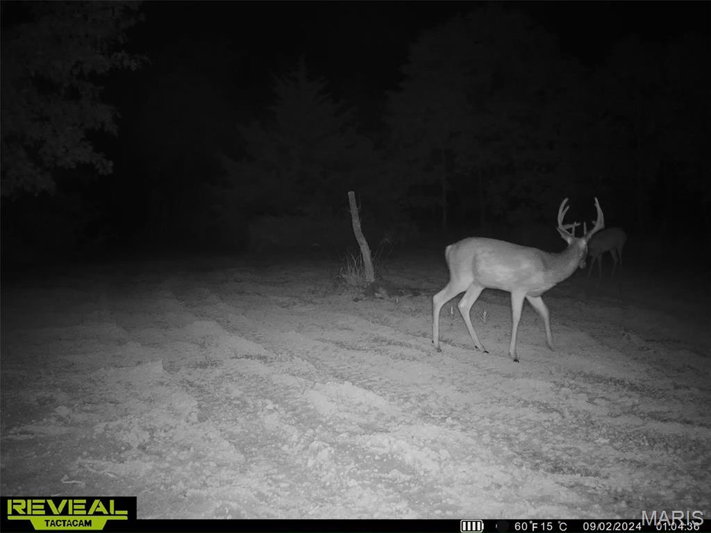 2 Whitetail Ridge Road Property Photo 30