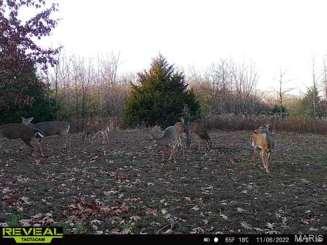 2 Whitetail Ridge Road Property Photo 31